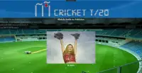 Cricket T 20 Screen Shot 3