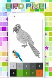 Coloring Bird Pixel Art, By Number Screen Shot 0