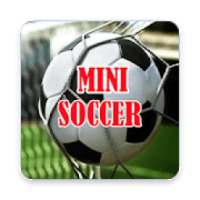 Mini Soccer Indonesia