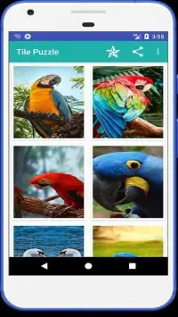 Tile Puzzles-Animals,Birds Screen Shot 8