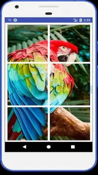 Tile Puzzles-Animals,Birds Screen Shot 2