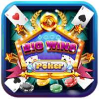 Big Wins Poker (Cashtree)