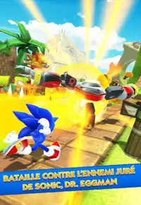 3D Sonic Adventure Run Screen Shot 0
