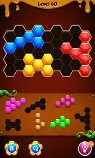 Hexaty Puzzle Screen Shot 2