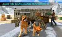 Dog Sledding Transportation Screen Shot 14
