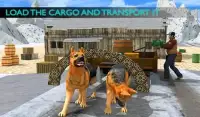 Dog Sledding Transportation Screen Shot 4
