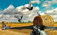 Pigeon Hunting 2018: Crossbow Birds Wings Shooting Screen Shot 1