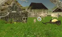 Archery Sling Shoot Master 3D Screen Shot 22