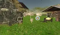 Archery Sling Shoot Master 3D Screen Shot 5