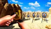 Archery Sling Shoot Master 3D Screen Shot 18