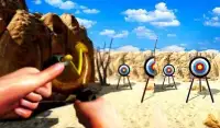 Archery Sling Shoot Master 3D Screen Shot 8