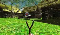 Archery Sling Shoot Master 3D Screen Shot 0