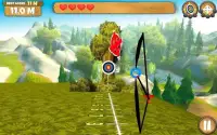 Archery Sniper Screen Shot 0