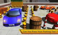 Parking Master Sim 2018 Screen Shot 3