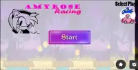 Amy rose vs sonic race Screen Shot 2