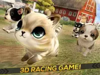Puppies! Kitties and Dogs Race Screen Shot 5