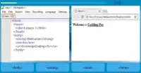 OmegaCoding - Learning Web Development by Games Screen Shot 1