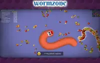 Snake Zone : worm mate zone Screen Shot 0
