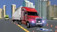 Euro Truck Simulator vs USA Truck Screen Shot 3