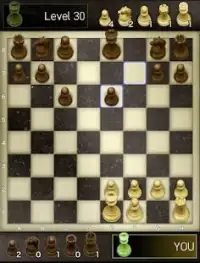 Chess Offline - Catur Screen Shot 0