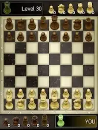 Chess Offline - Catur Screen Shot 1