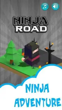 Cube Ninja Road Adventure Screen Shot 3