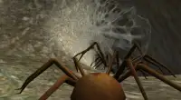 Spider Nest Simulator - insect and 3d animal game Screen Shot 0