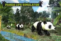 Panda Family Fun: Jungle Survival Screen Shot 4