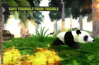 Panda Family Fun: Jungle Survival Screen Shot 5