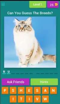 Guess The Cat Breeds Most Popular Cat Breeds Quiz Screen Shot 17
