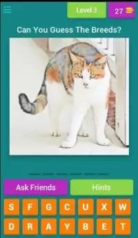 Guess The Cat Breeds Most Popular Cat Breeds Quiz Screen Shot 14