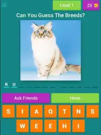 Guess The Cat Breeds Most Popular Cat Breeds Quiz Screen Shot 11
