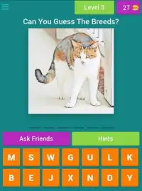 Guess The Cat Breeds Most Popular Cat Breeds Quiz Screen Shot 2