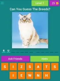 Guess The Cat Breeds Most Popular Cat Breeds Quiz Screen Shot 5