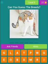 Guess The Cat Breeds Most Popular Cat Breeds Quiz Screen Shot 8
