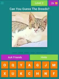 Guess The Cat Breeds Most Popular Cat Breeds Quiz Screen Shot 3
