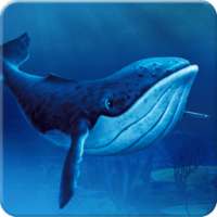 Blue Shark Game: Real Daring