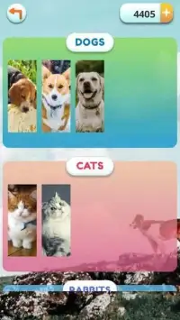 Word Pets Screen Shot 3