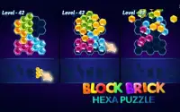 Brick Hexa Puzzle Screen Shot 3