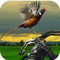 Pheasant Hunting: Archery Birds Hunter 2018