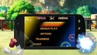 Ninja Arena Screen Shot 3