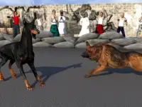 Angry Dog Fighting Hero: Wild Street Dogs Attack Screen Shot 3