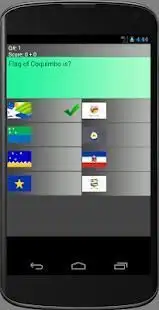 Chile Province Maps and Flags Screen Shot 0