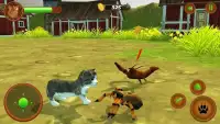 Cat Simulator - Pet World Screen Shot 4
