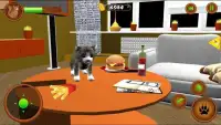 Simulator Kucing - Pet World Screen Shot 2