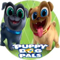 Puppy dog Pet Pals *