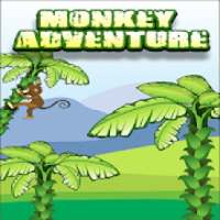 Monkey Adventure