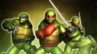 Real Ninja Turtle Street Fighting Games 2018 Screen Shot 0