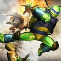 Real Ninja Turtle Street Fighting Games 2018