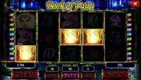 Book of Fairy - slot Screen Shot 3